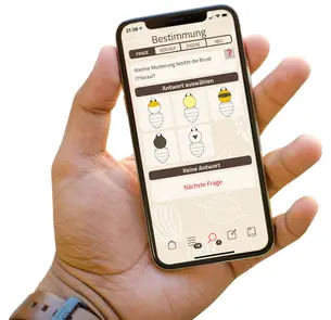 Mithilfe von Fragen und Bildern k?nnen auch Laien Hummeln bestimmen. Quelle: Universit?t Bamberg